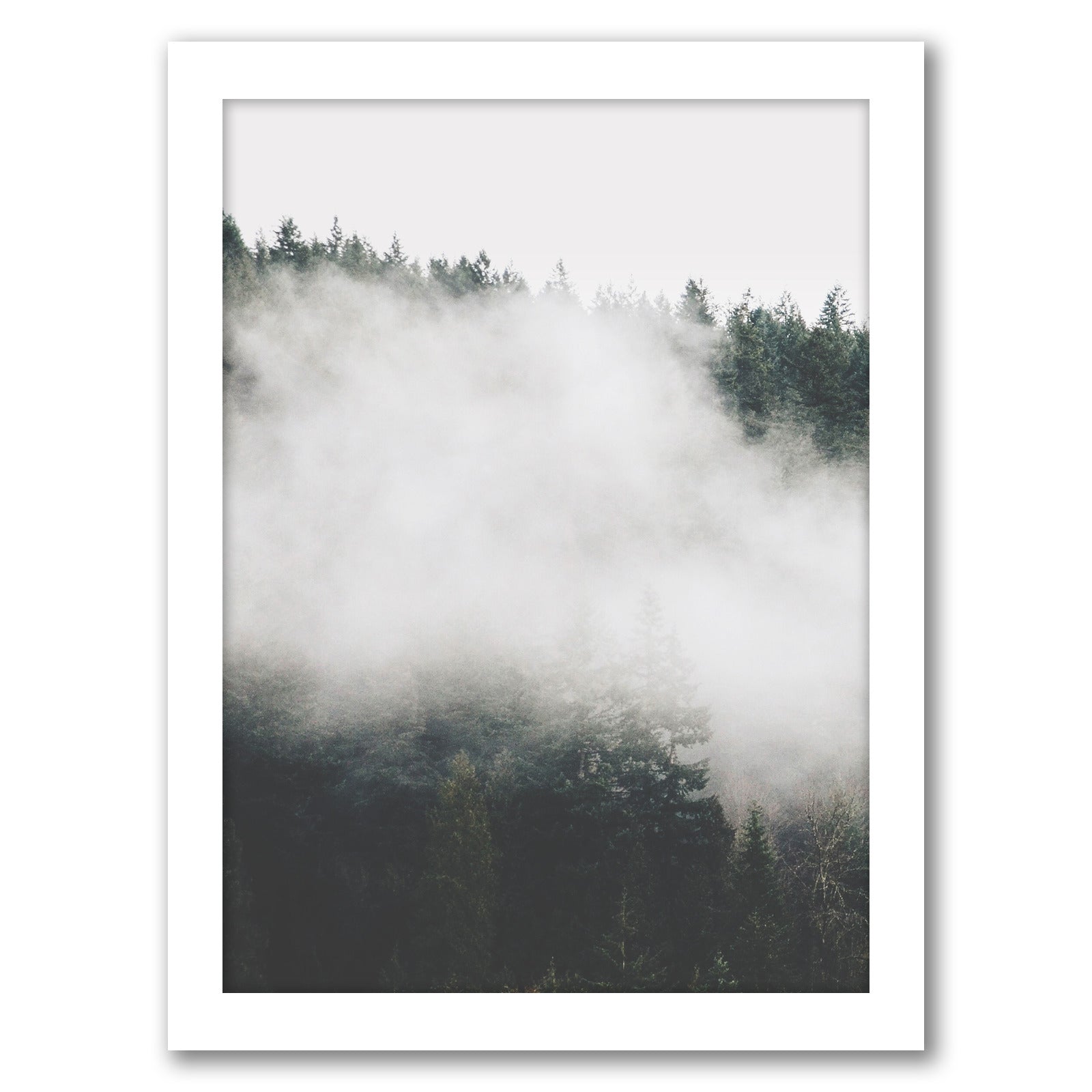 Foggy Landscape by Tanya Shumkina - White Framed Print - Wall Art - Americanflat