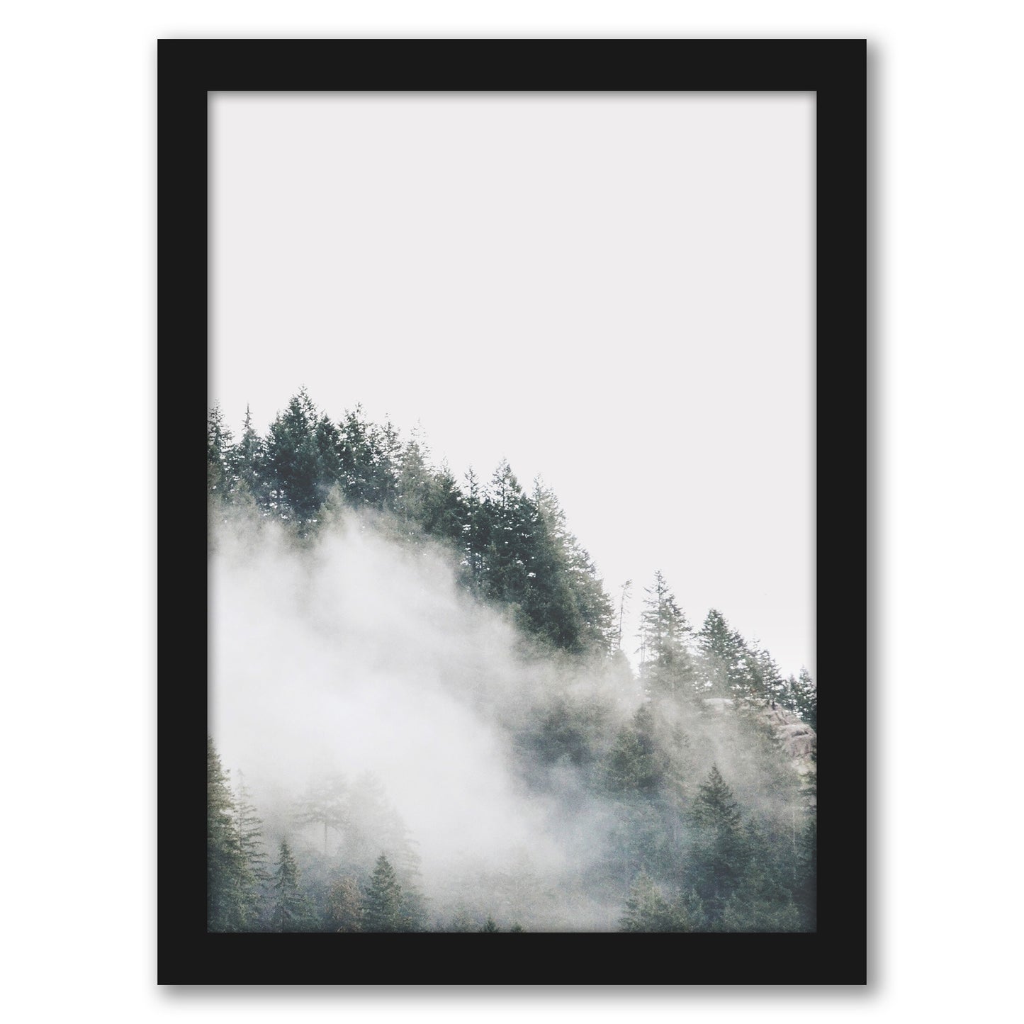 Mystery Woodland Photography by Tanya Shumkina - Black Framed Print - Wall Art - Americanflat