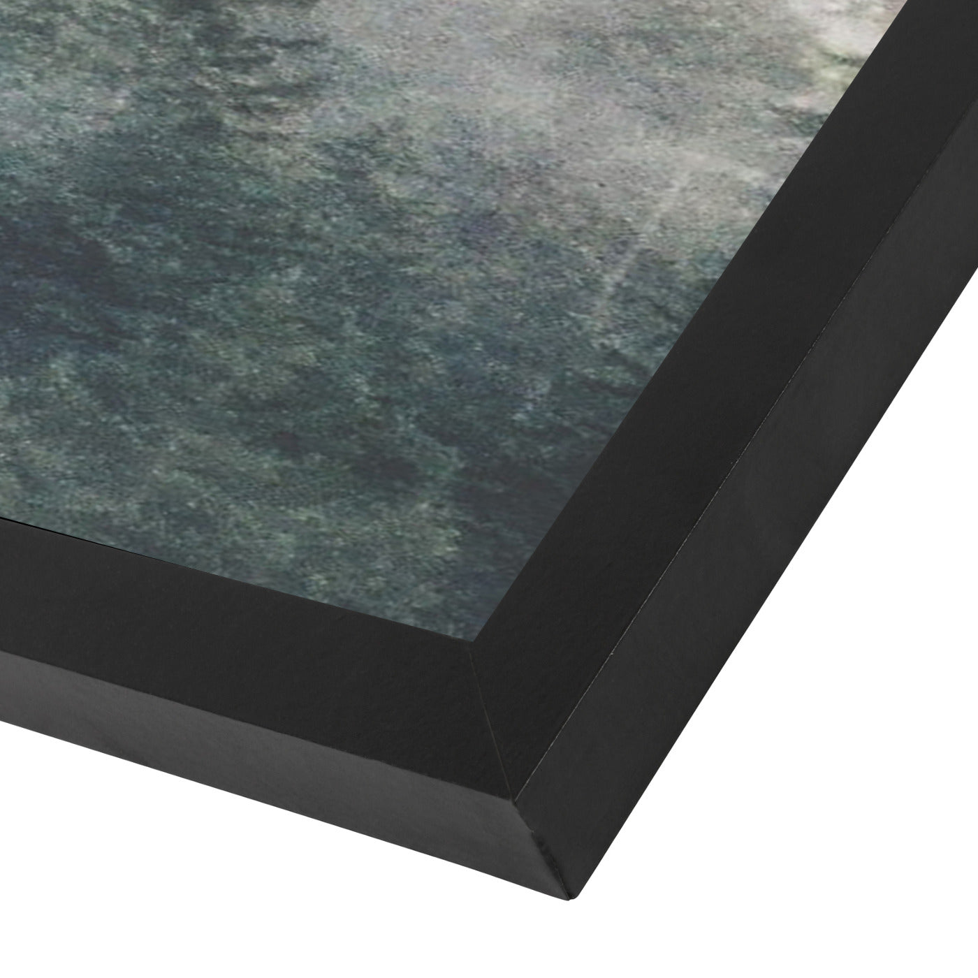 Mystery Woodland Photography by Tanya Shumkina - Black Framed Print - Wall Art - Americanflat