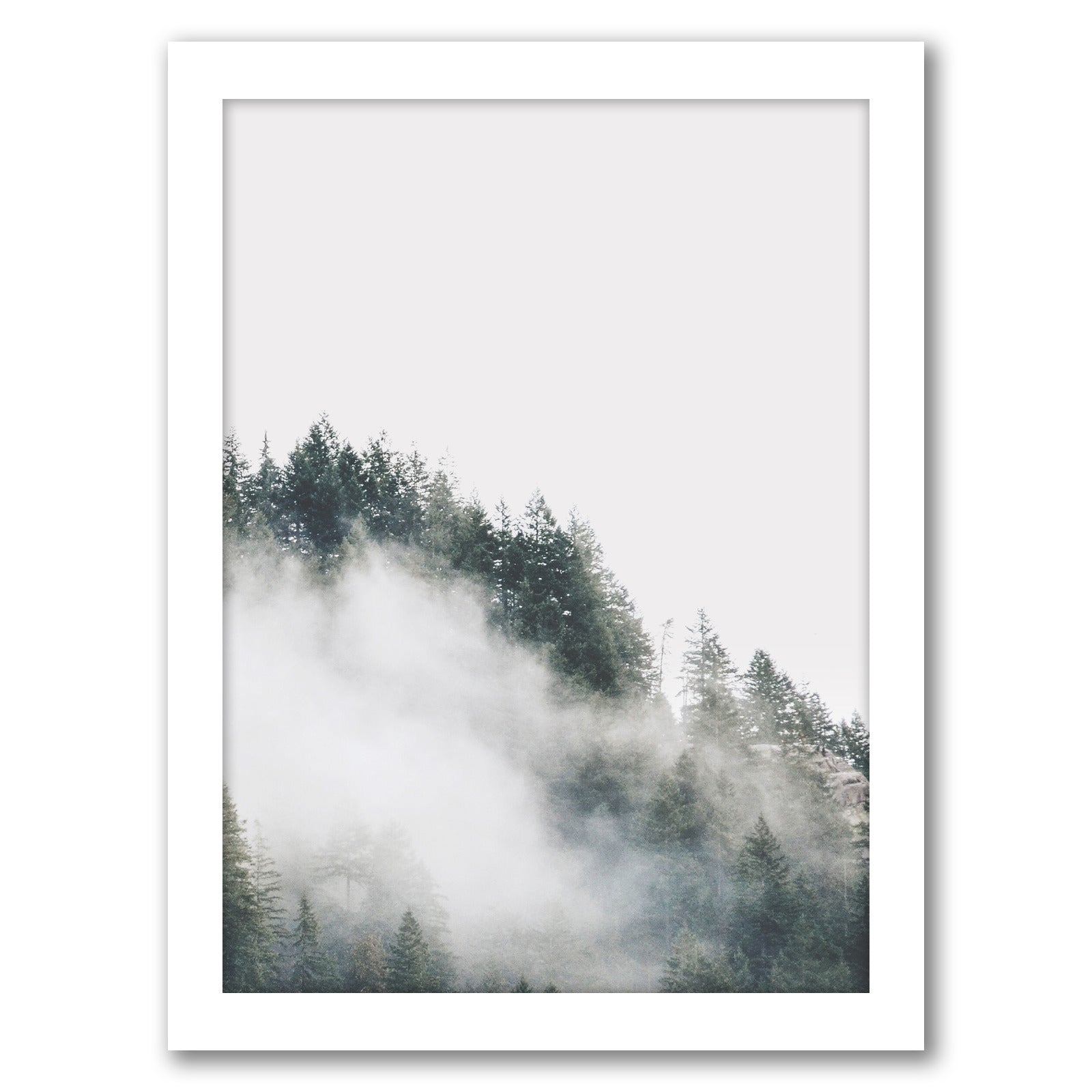 Mystery Woodland Photography by Tanya Shumkina - White Framed Print - Wall Art - Americanflat