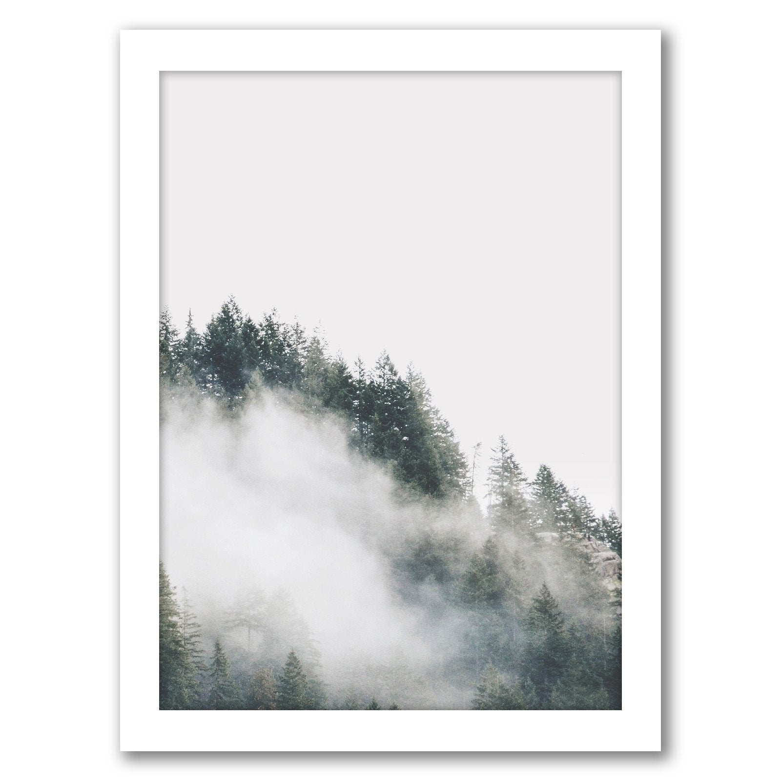 Mystery Woodland Photography by Tanya Shumkina - Framed Print - Americanflat