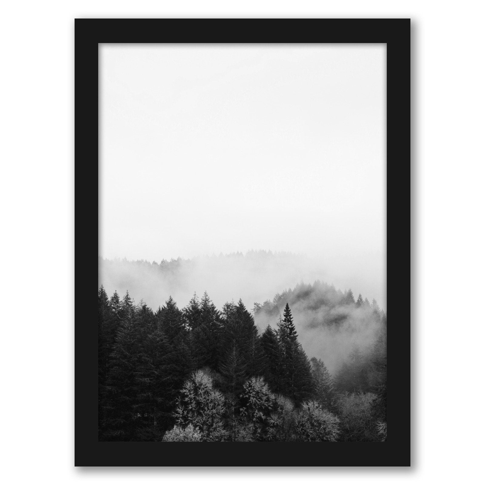 Black And White Foggy Nature by Tanya Shumkina - Black Framed Print - Wall Art - Americanflat