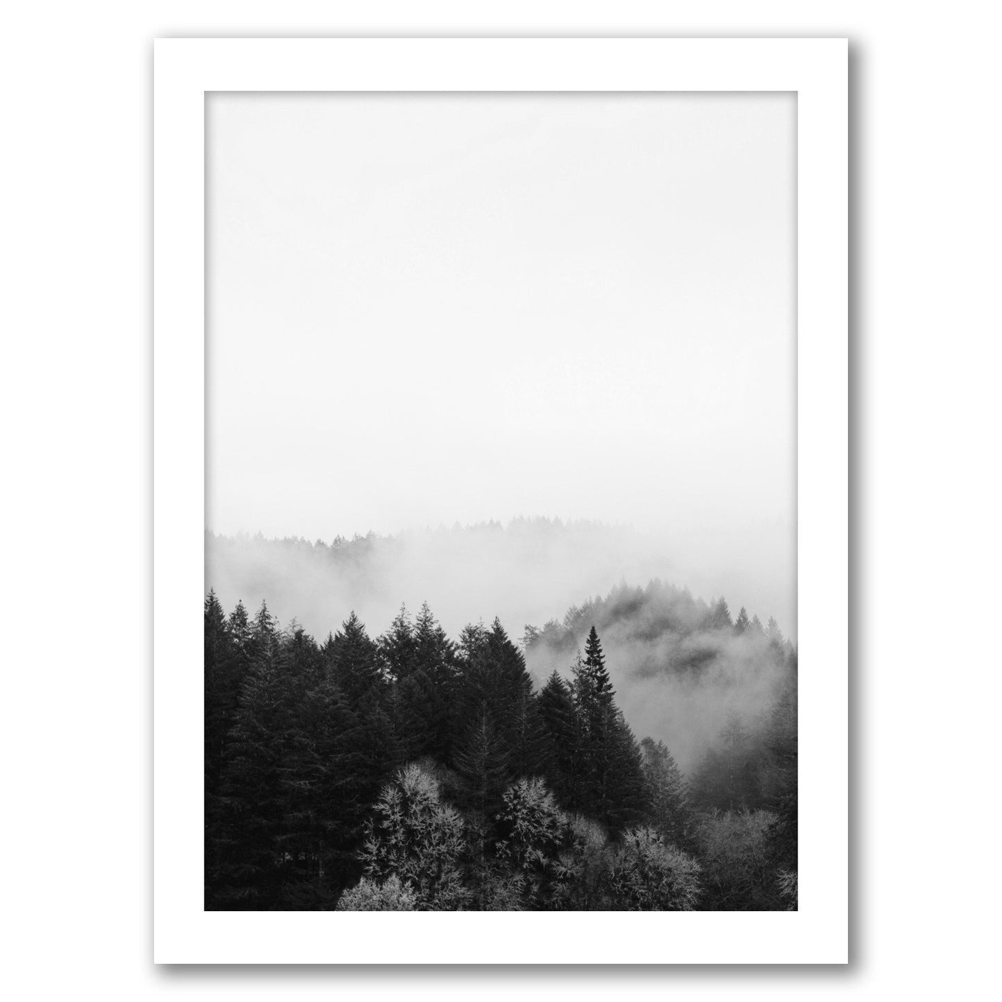 Black And White Foggy Nature by Tanya Shumkina - White Framed Print - Wall Art - Americanflat