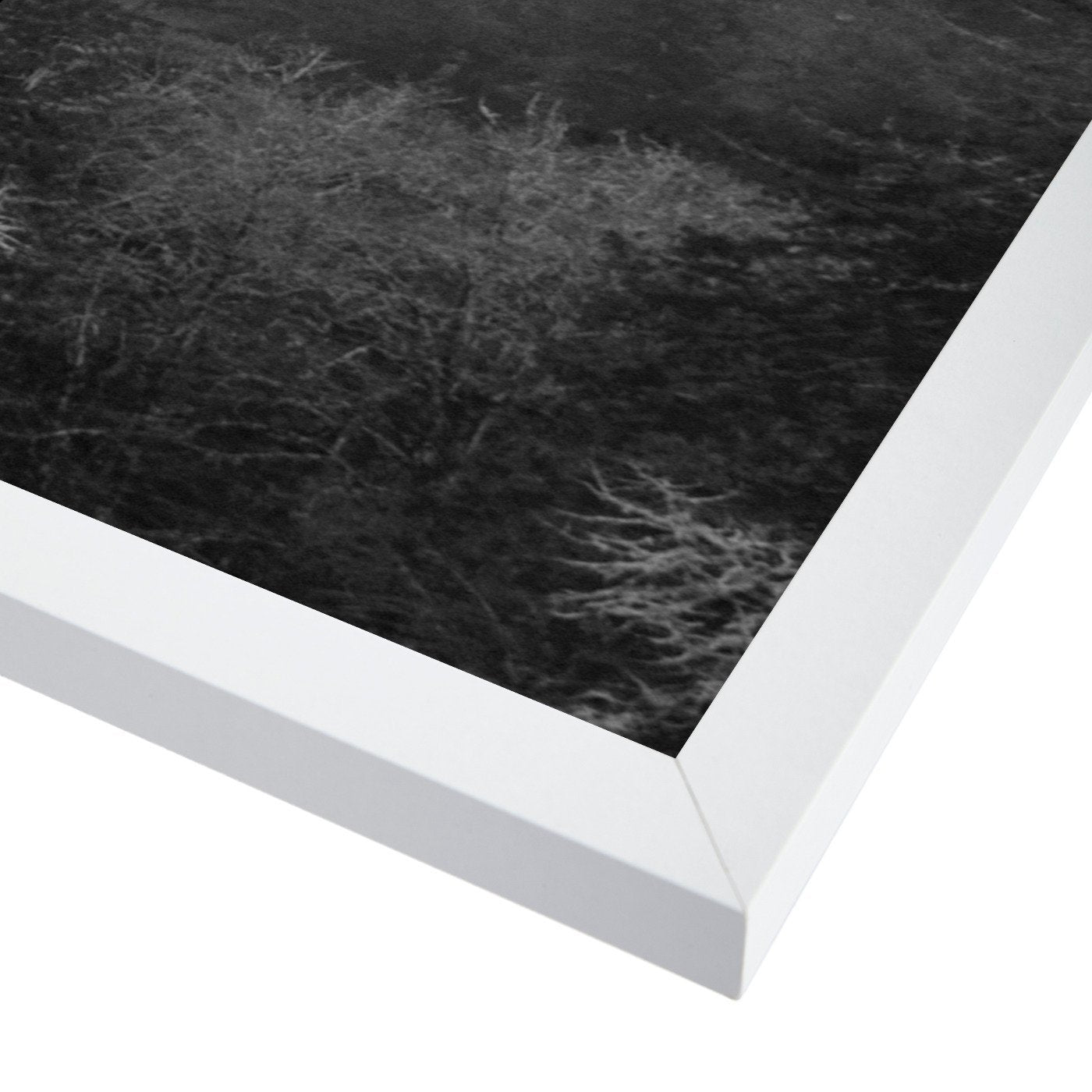 Black And White Foggy Nature by Tanya Shumkina - Framed Print - Americanflat