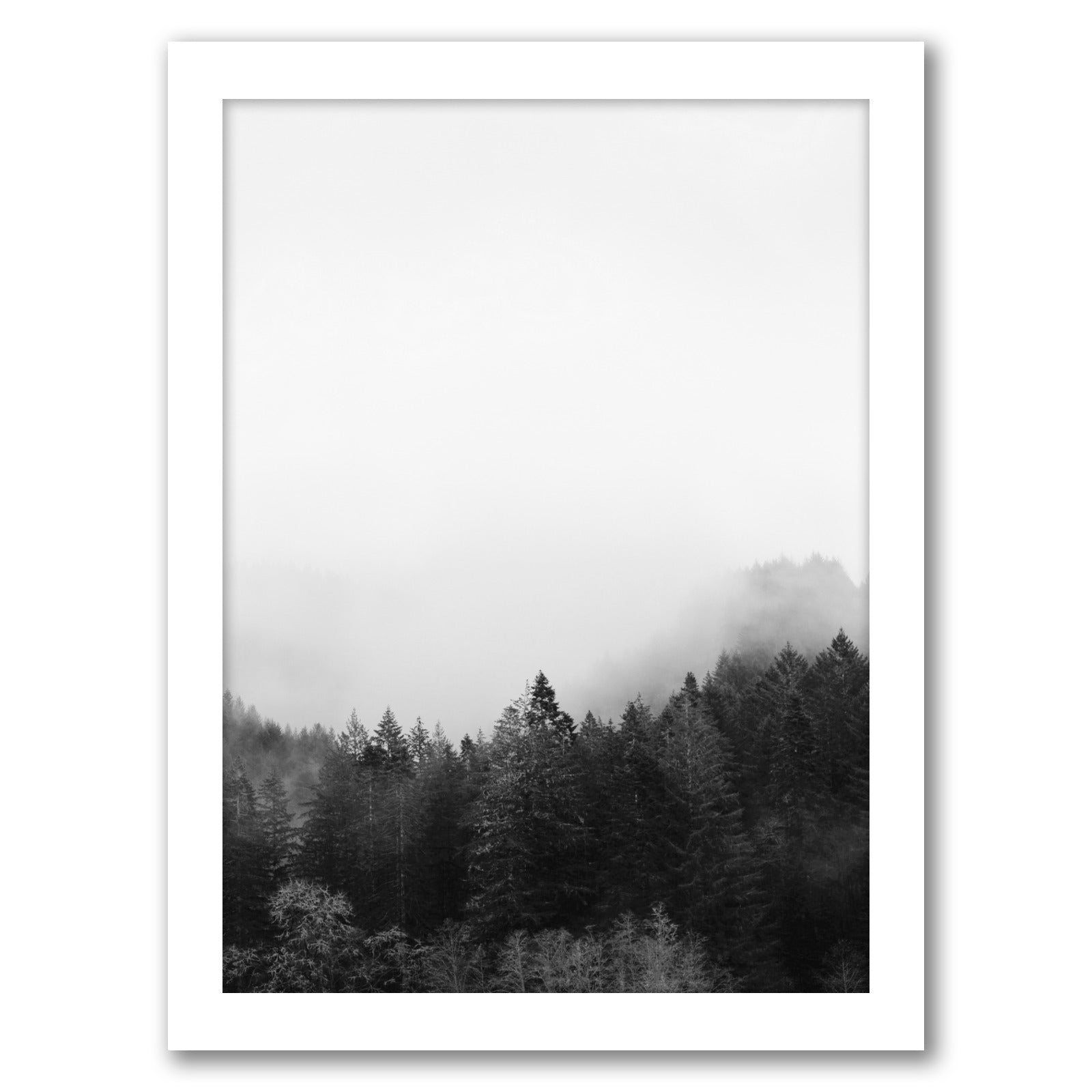 Woodland B&W Landscape Poster by Tanya Shumkina - White Framed Print - Wall Art - Americanflat