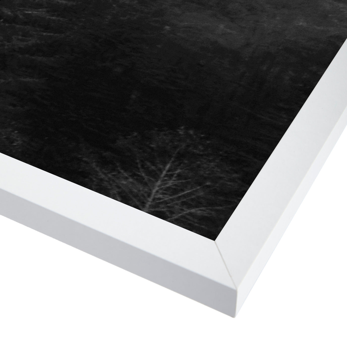 Woodland B&W Landscape Poster by Tanya Shumkina - White Framed Print - Wall Art - Americanflat