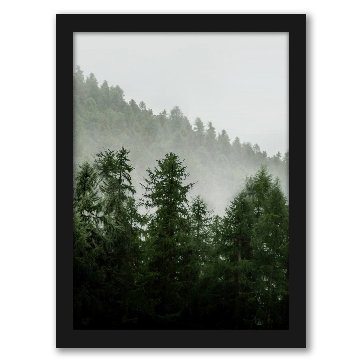 Green Forest by Tanya Shumkina - Black Framed Print - Wall Art - Americanflat