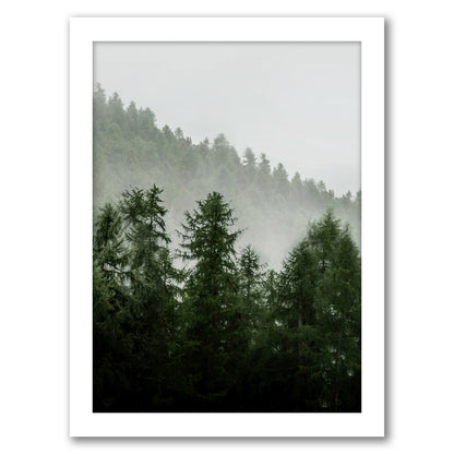 Green Forest by Tanya Shumkina - White Framed Print - Wall Art - Americanflat