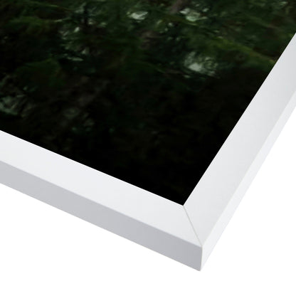 Green Forest by Tanya Shumkina - White Framed Print - Wall Art - Americanflat
