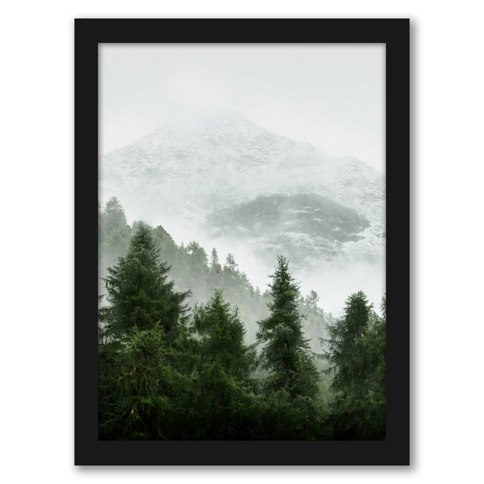 Foggy Nature Photography by Tanya Shumkina - Black Framed Print - Wall Art - Americanflat