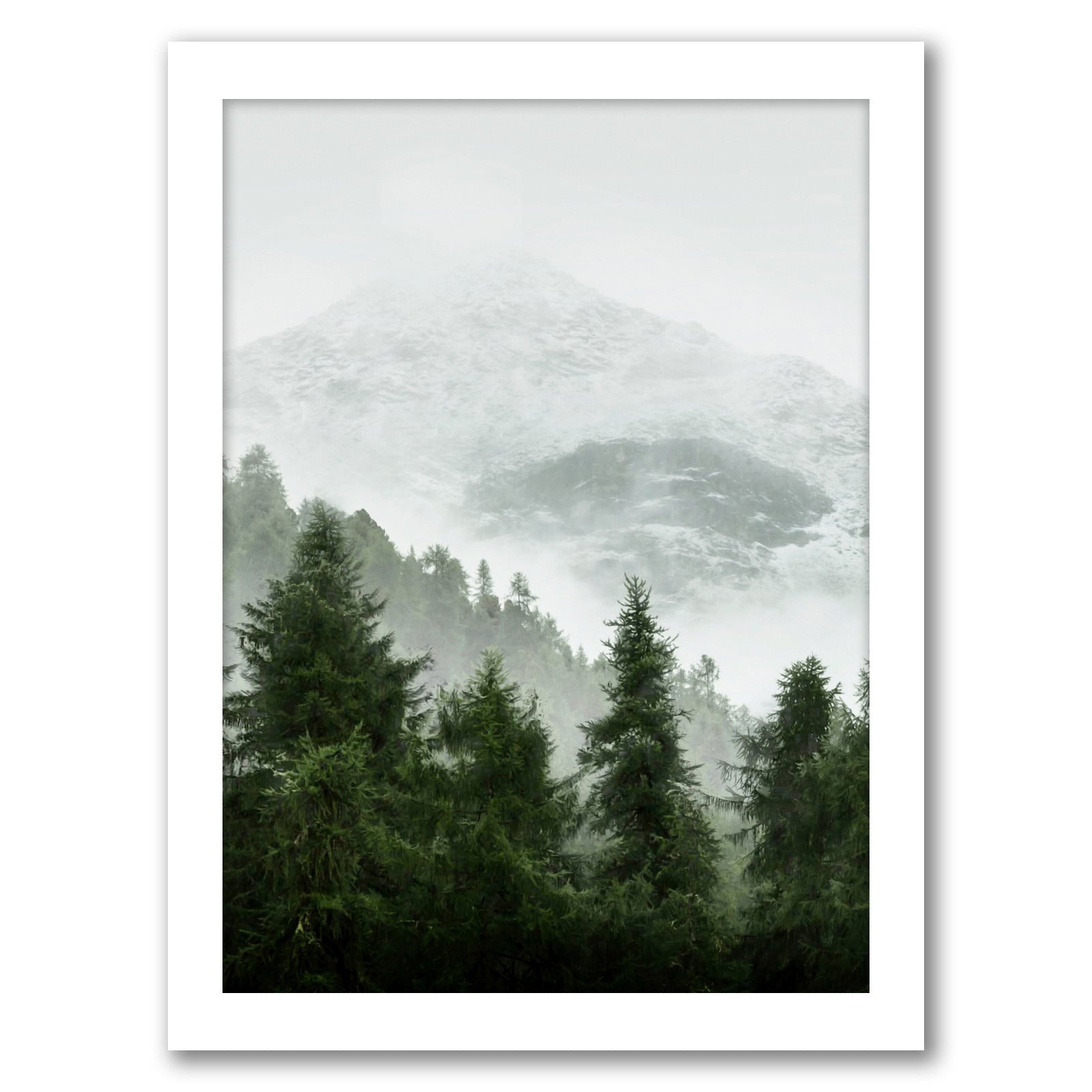 Foggy Nature Photography by Tanya Shumkina - White Framed Print - Wall Art - Americanflat