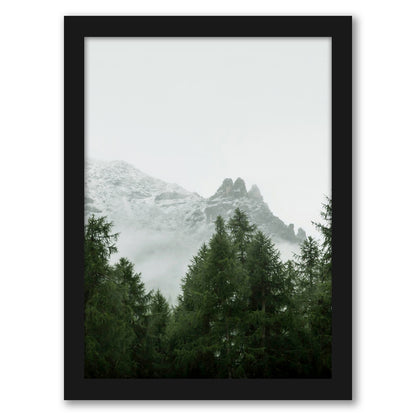 Misty Woodland by Tanya Shumkina - Black Framed Print - Wall Art - Americanflat