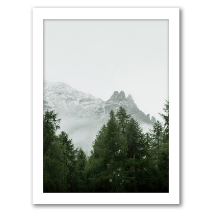 Misty Woodland by Tanya Shumkina - White Framed Print - Wall Art - Americanflat