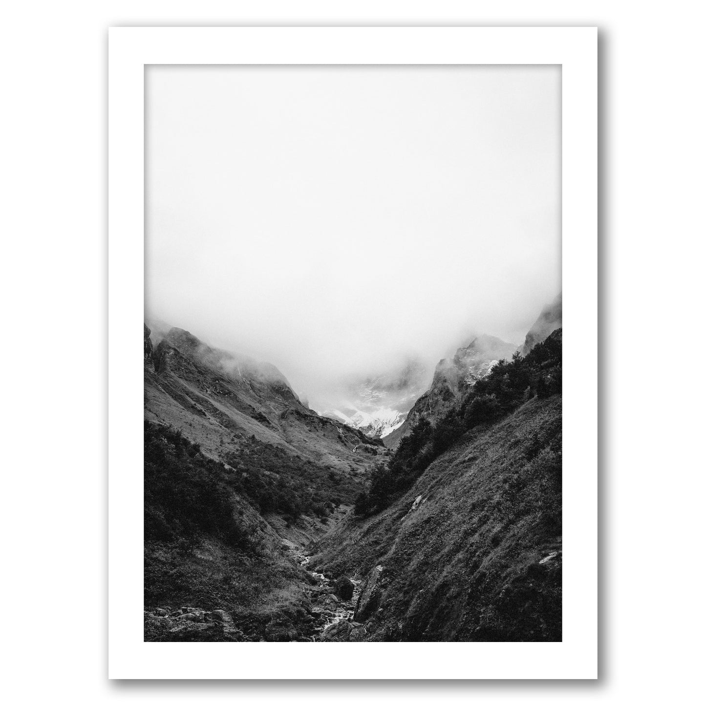 Nordic Forest Scenery by Tanya Shumkina - White Framed Print - Wall Art - Americanflat