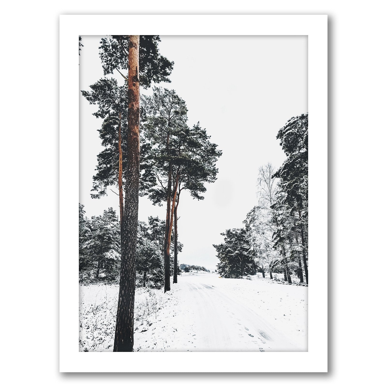 Winter Forest by Modern Tropical - Framed Print - Americanflat
