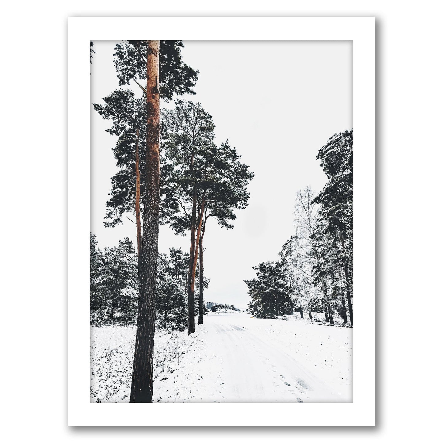 Winter Holidays In Forest by Tanya Shumkina - Framed Print - Americanflat