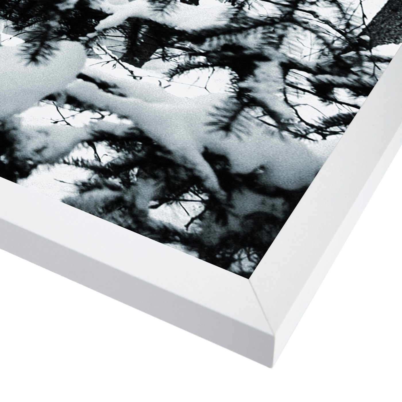 Cabins In Snowy Pine Tree Forest by Tanya Shumkina - White Framed Print - Wall Art - Americanflat