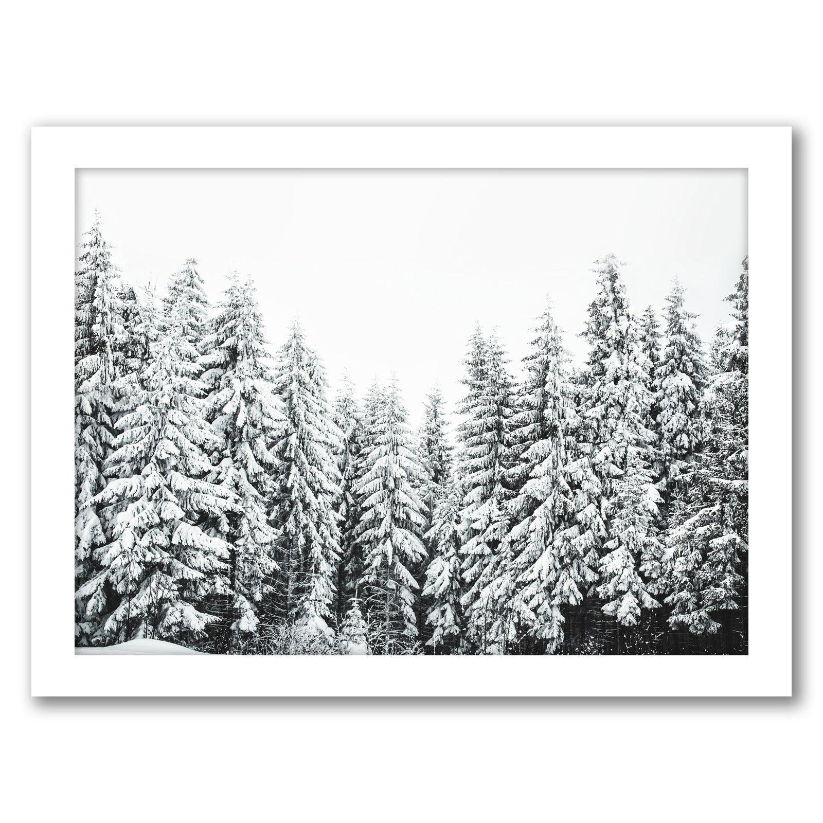 Snowy Pine Tree Forest by Tanya Shumkina - White Framed Print - Wall Art - Americanflat
