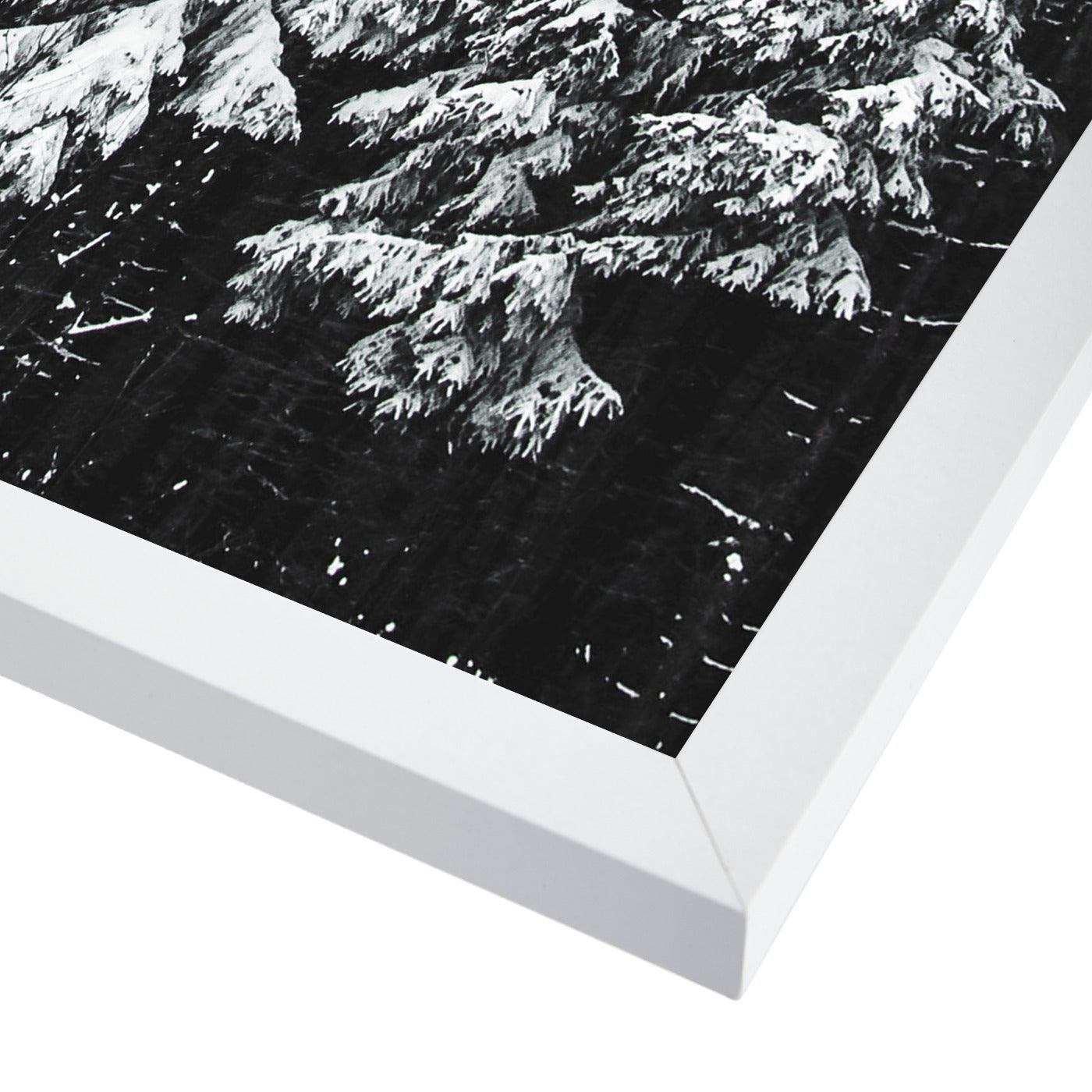 Snowy Pine Tree Forest by Tanya Shumkina - White Framed Print - Wall Art - Americanflat