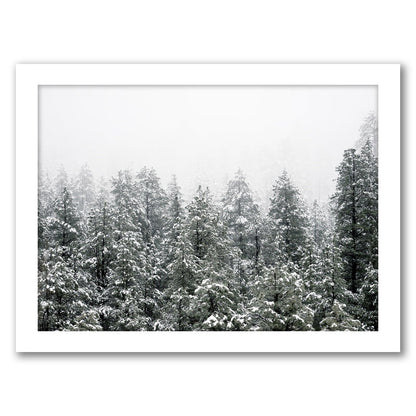 Snowy Nordic Trees by Tanya Shumkina - White Framed Print - Wall Art - Americanflat