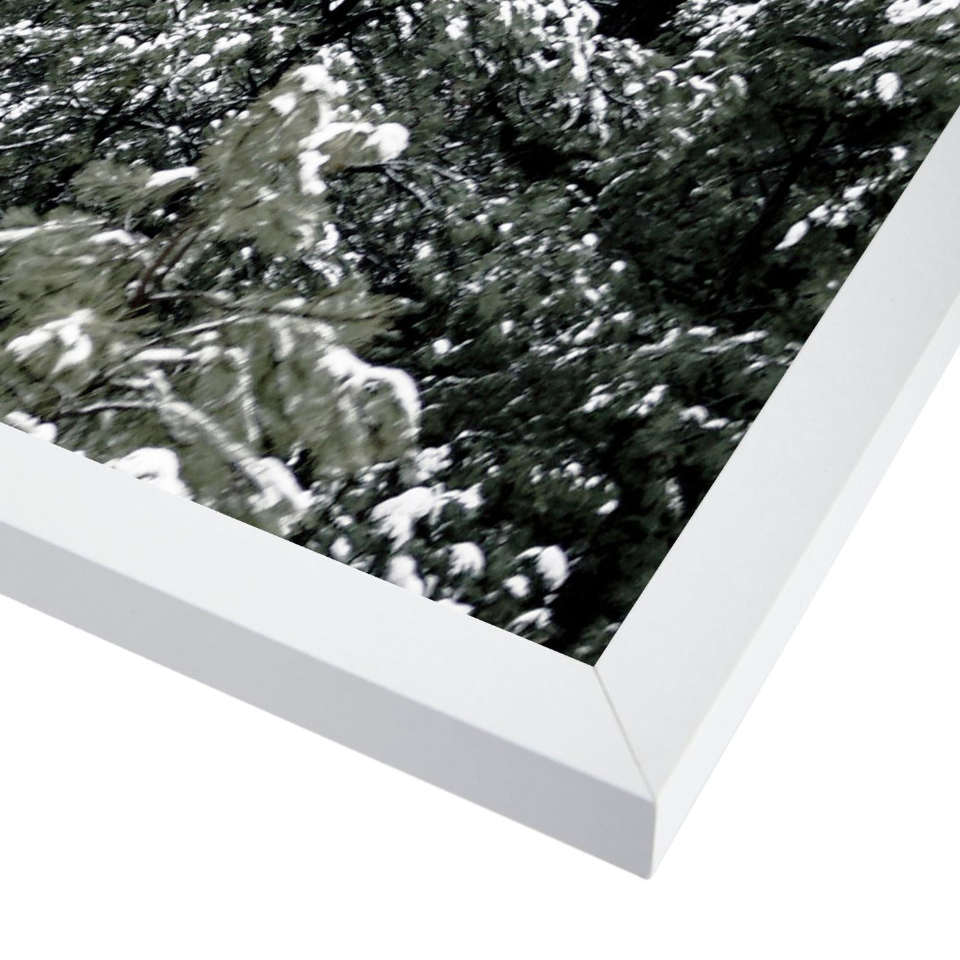 Snowy Nordic Trees by Tanya Shumkina - White Framed Print - Wall Art - Americanflat