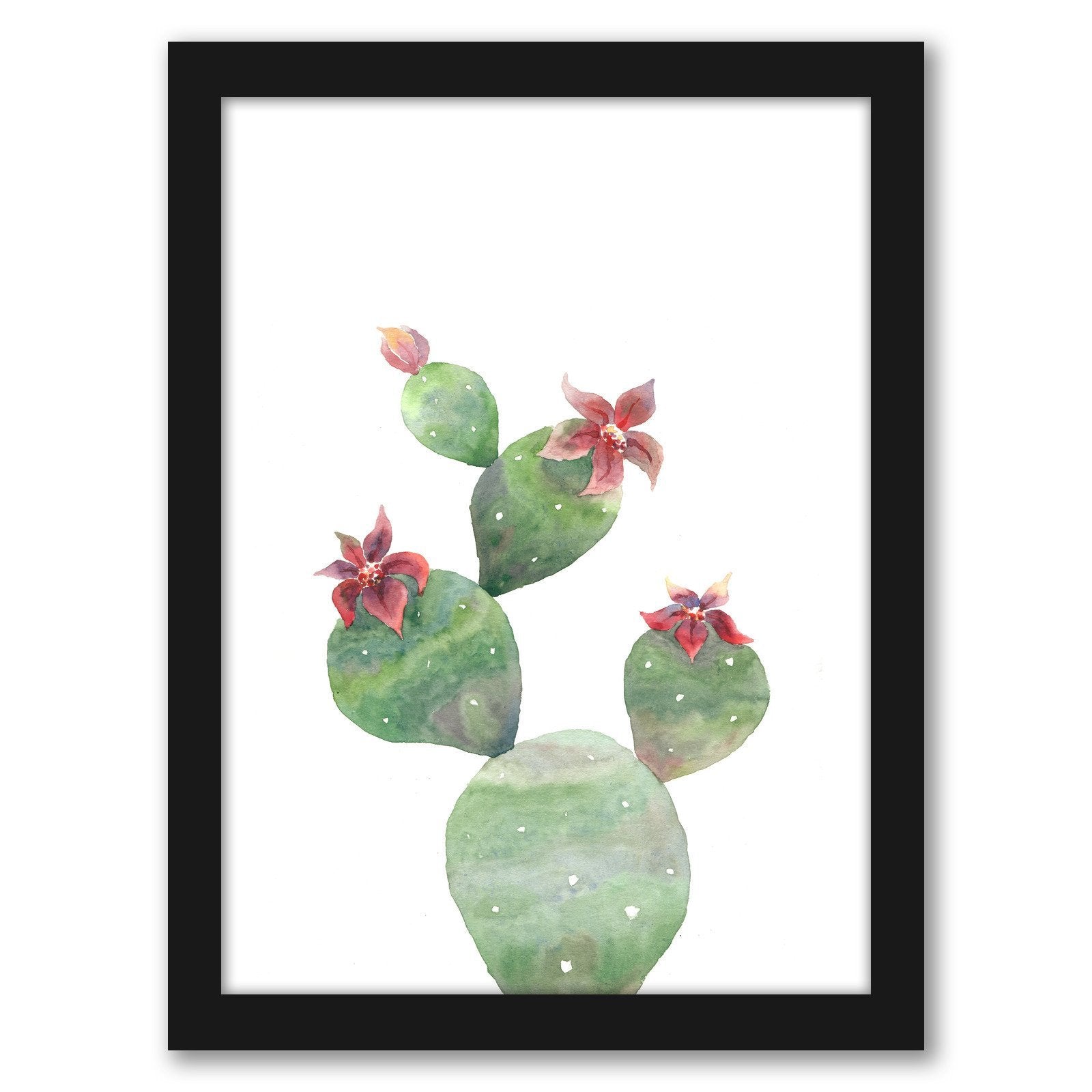 Bloomed Cactus by Tanya Shumkina - Black Framed Print - Wall Art - Americanflat
