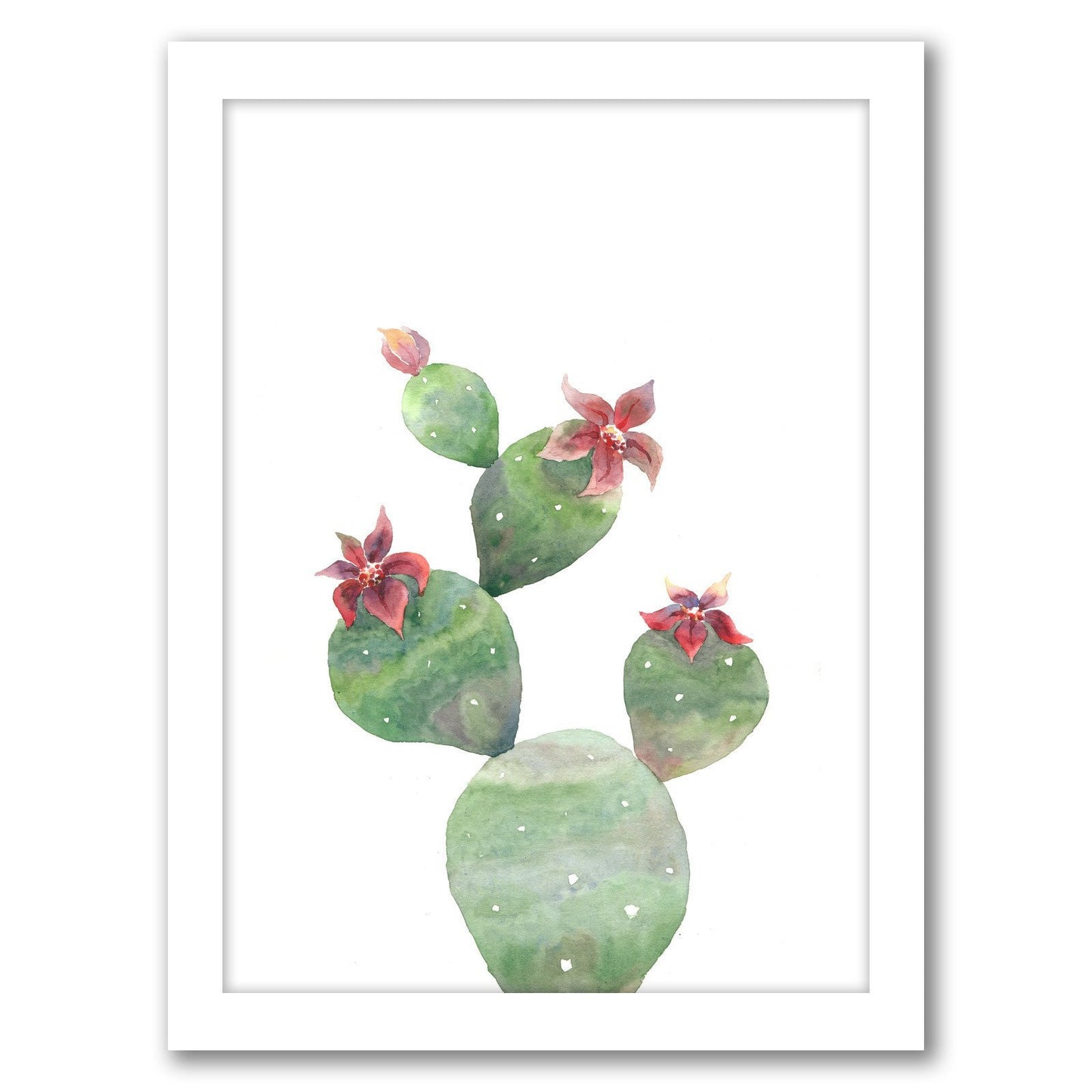 Bloomed Cactus by Tanya Shumkina - White Framed Print - Wall Art - Americanflat