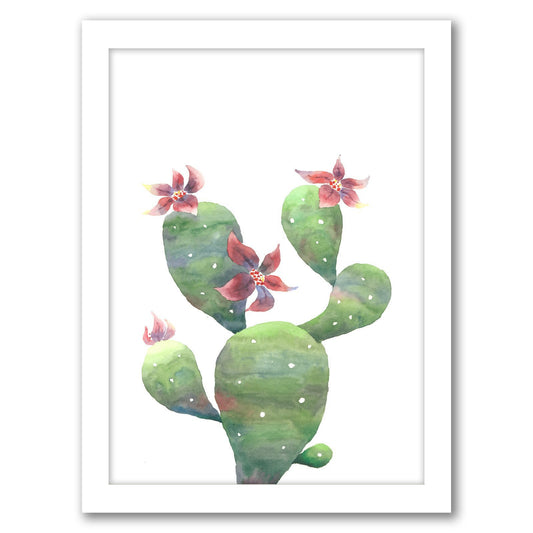 Bloomed Opuntia by Tanya Shumkina - White Framed Print - Wall Art - Americanflat