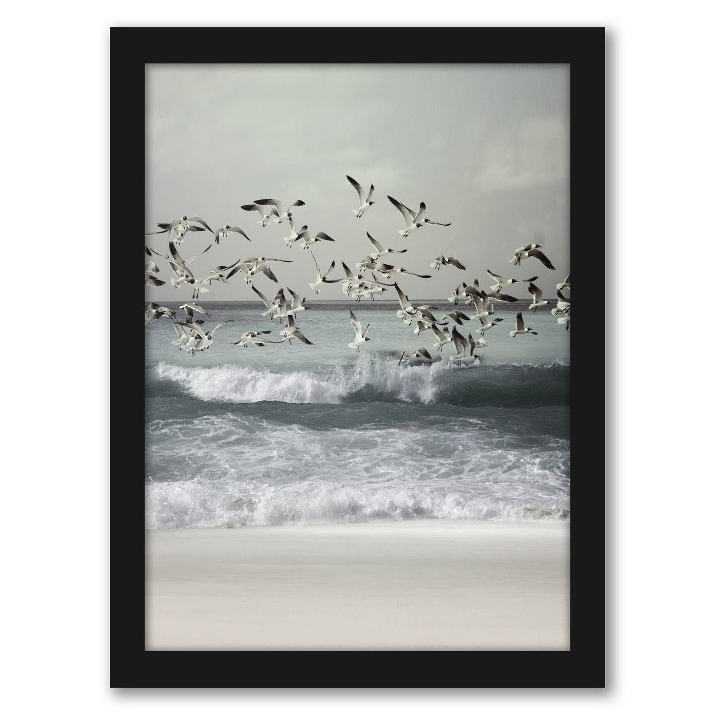 Seagulls by Tanya Shumkina - Black Framed Print - Wall Art - Americanflat