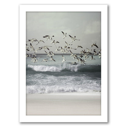 Seagulls by Tanya Shumkina - Framed Print - Americanflat
