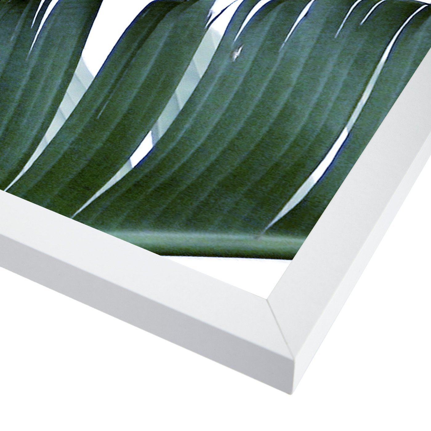 Banana Leaf by Tanya Shumkina - White Framed Print - Wall Art - Americanflat