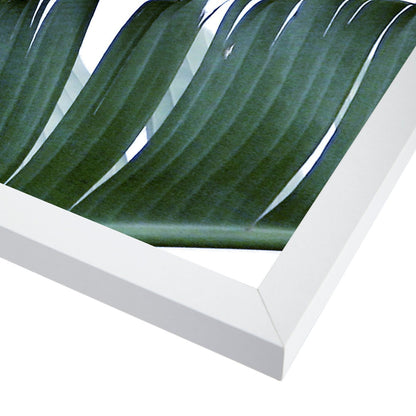 Banana Leaf by Tanya Shumkina - White Framed Print - Wall Art - Americanflat
