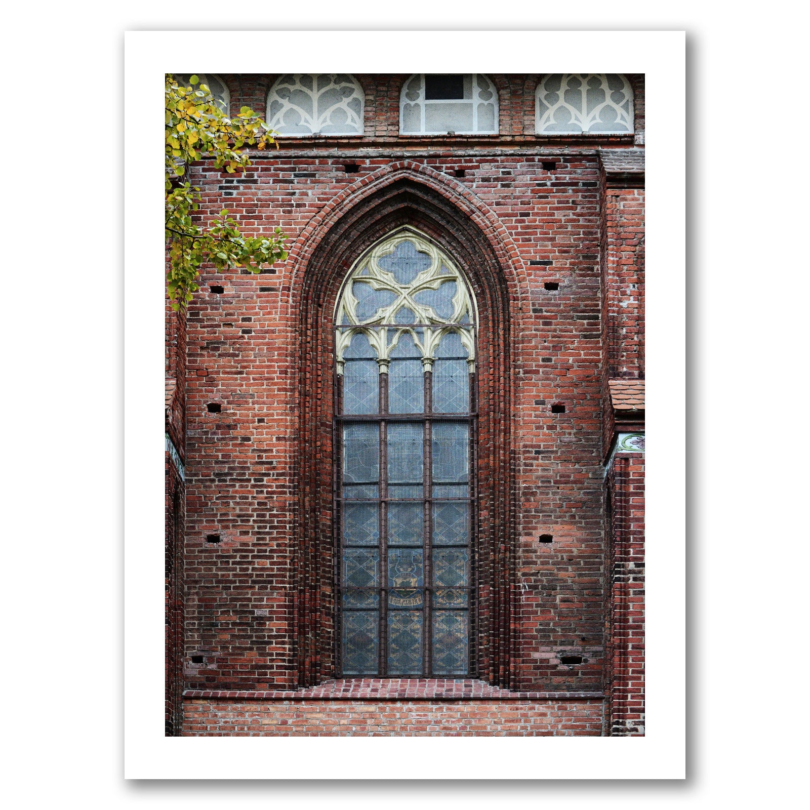 Gothic Window by Tanya Shumkina - White Framed Print - Wall Art - Americanflat