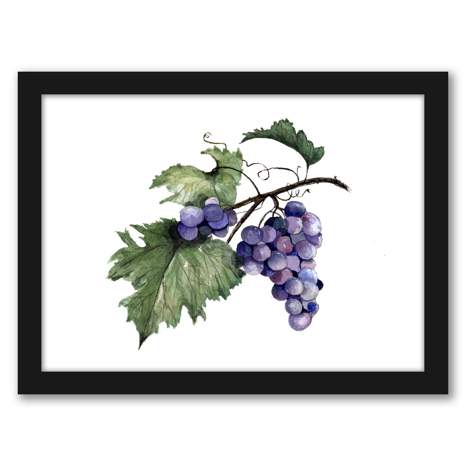Grapes by Cami Monet - White Framed Print - Wall Art - Americanflat
