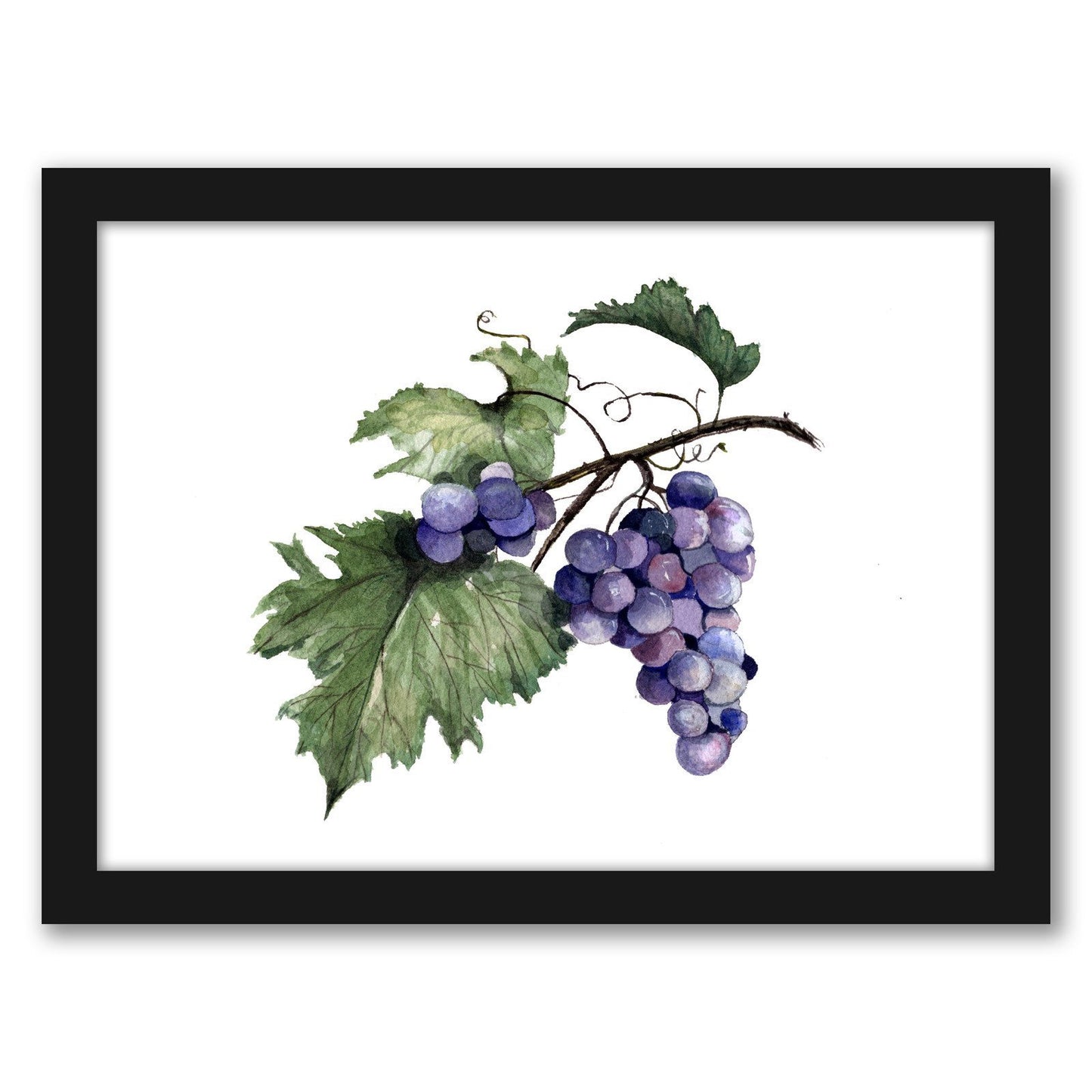 Grapes by Cami Monet - Framed Print - Americanflat