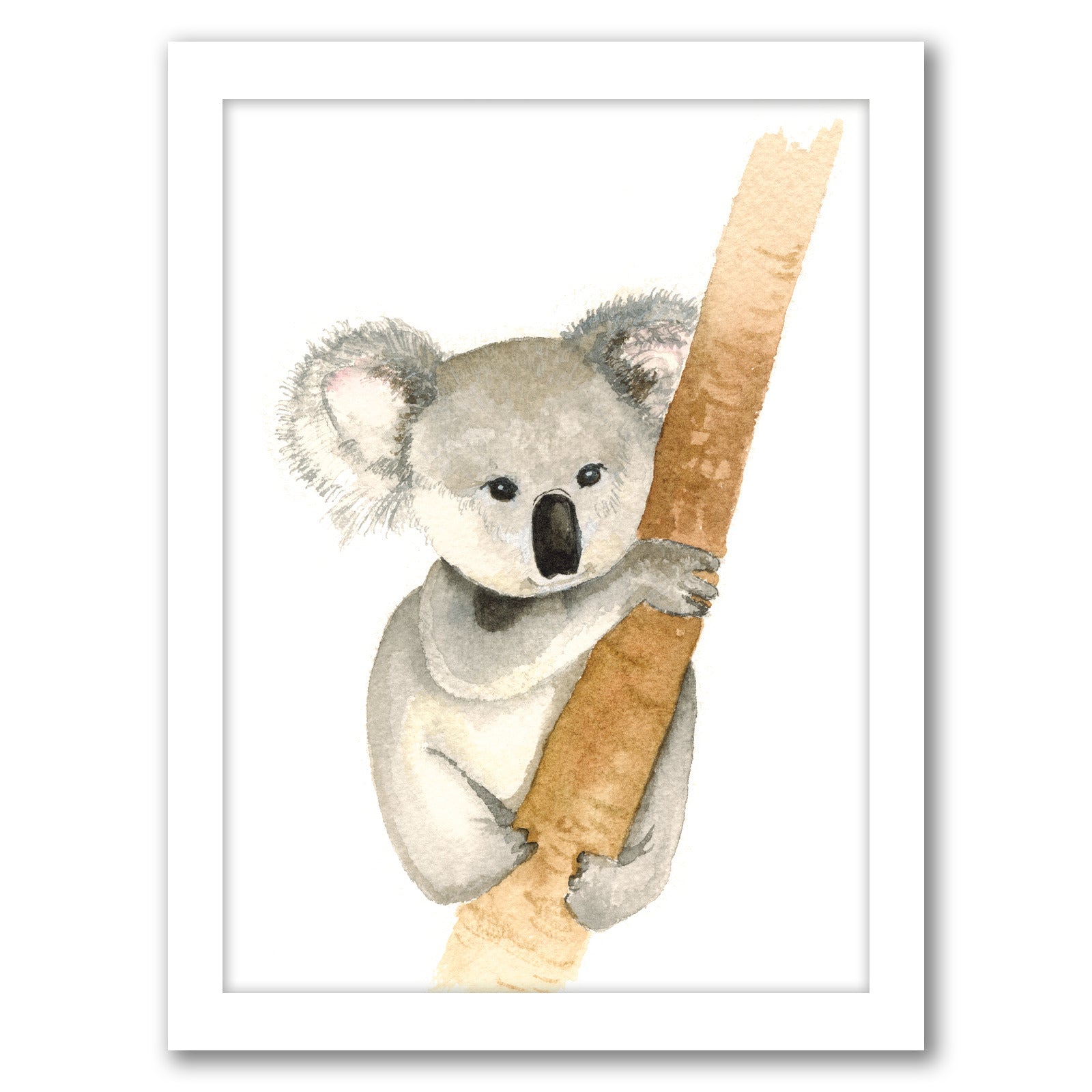 Koala by Cami Monet - Framed Print - Americanflat