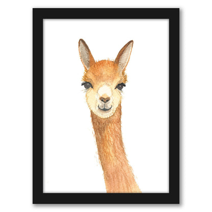 Vicuna by Cami Monet - Framed Print - Americanflat