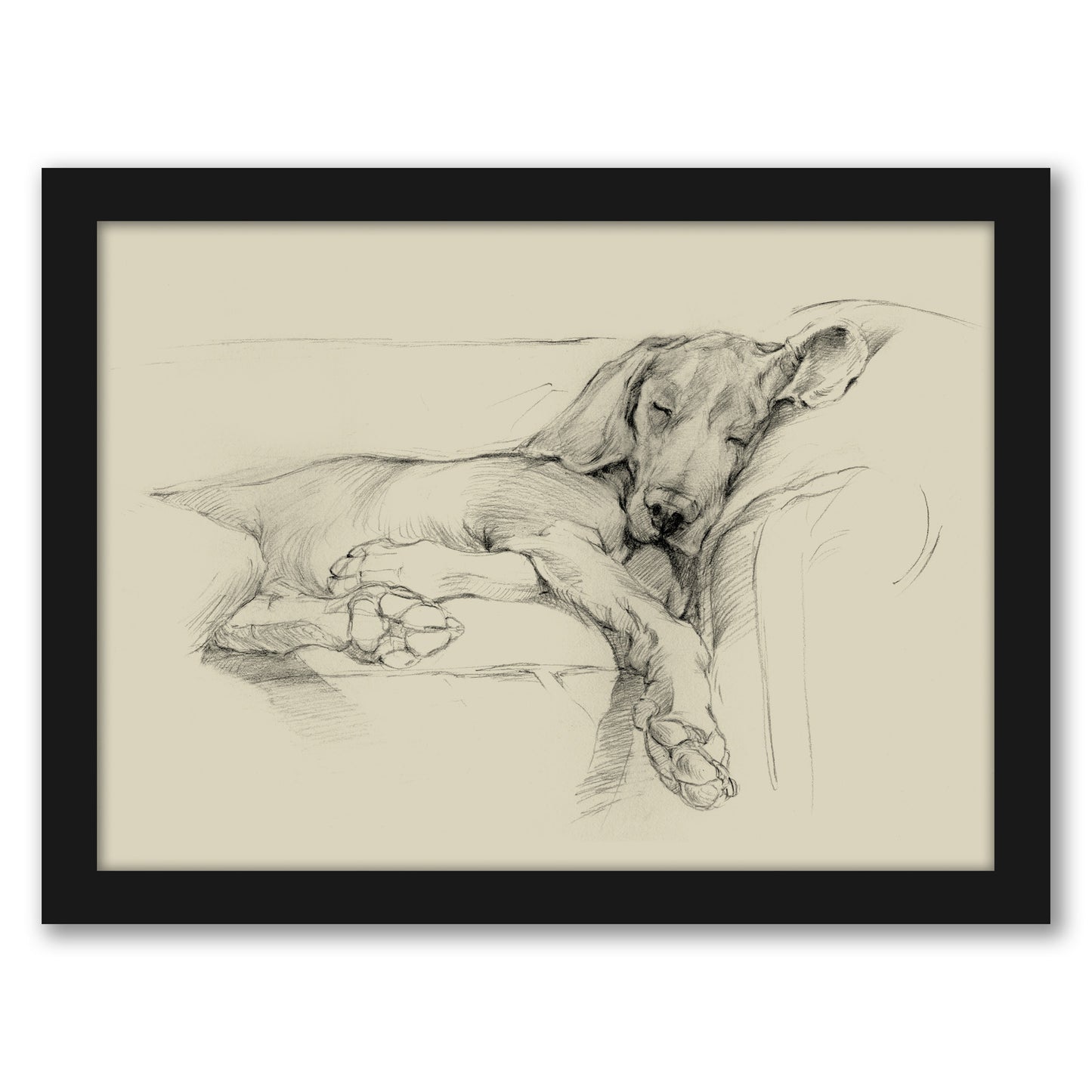 Dog Days I by Ethan Harper by World Art Group - Black Framed Print - Wall Art - Americanflat