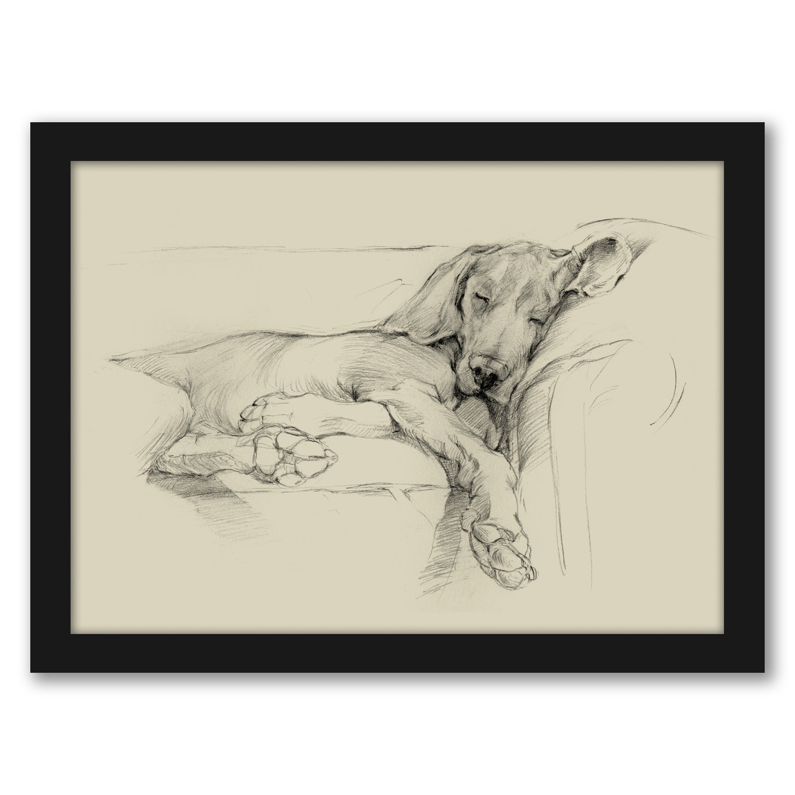 Dog Days I by Ethan Harper by World Art Group - Black Framed Print - Wall Art - Americanflat