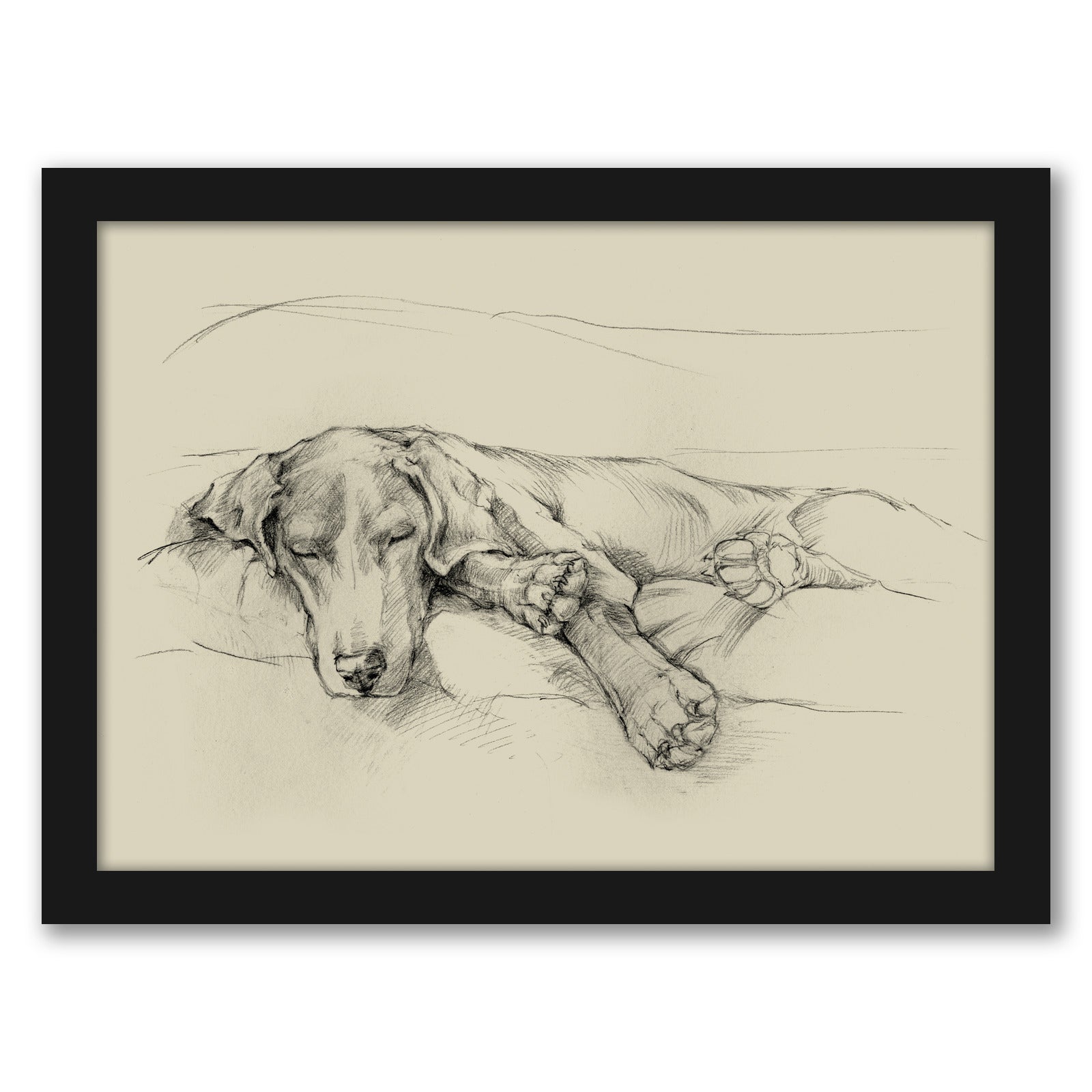 Dog Days II by Ethan Harper by World Art Group - Black Framed Print - Wall Art - Americanflat