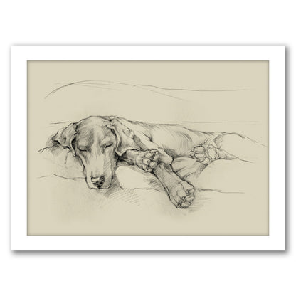 Dog Days II by Ethan Harper by World Art Group - Framed Print - Americanflat