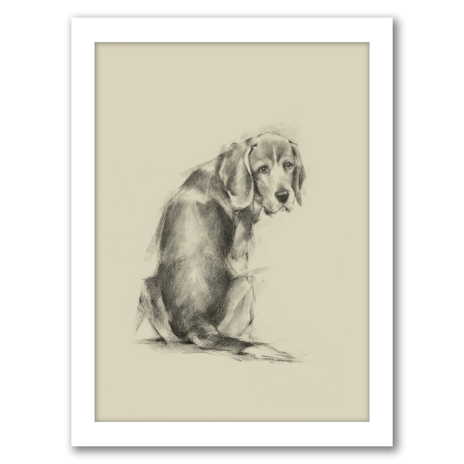 Puppy Dog Eyes I by Ethan Harper by World Art Group - White Framed Print - Wall Art - Americanflat