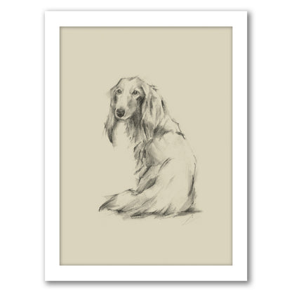 Puppy Dog Eyes II by Ethan Harper by World Art Group - White Framed Print - Wall Art - Americanflat