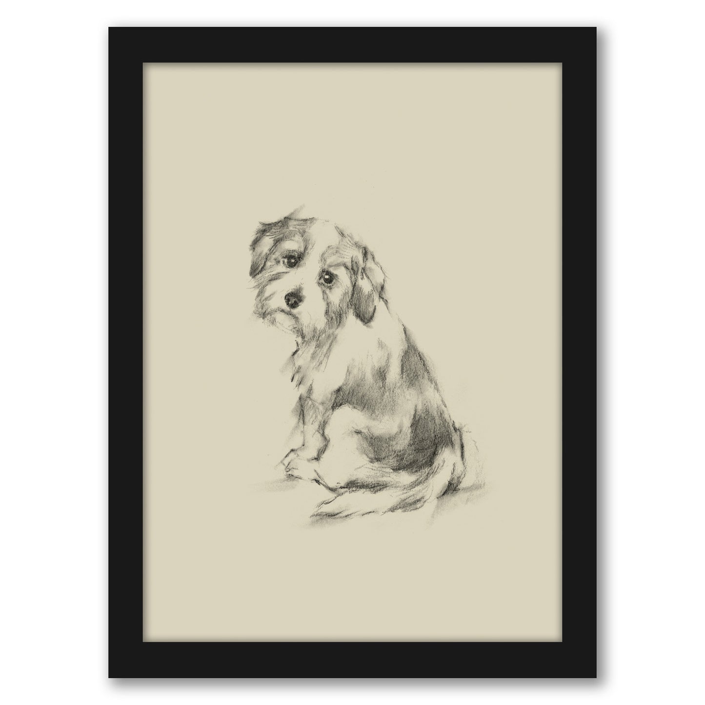 Puppy Dog Eyes III by Ethan Harper by World Art Group - Black Framed Print - Wall Art - Americanflat