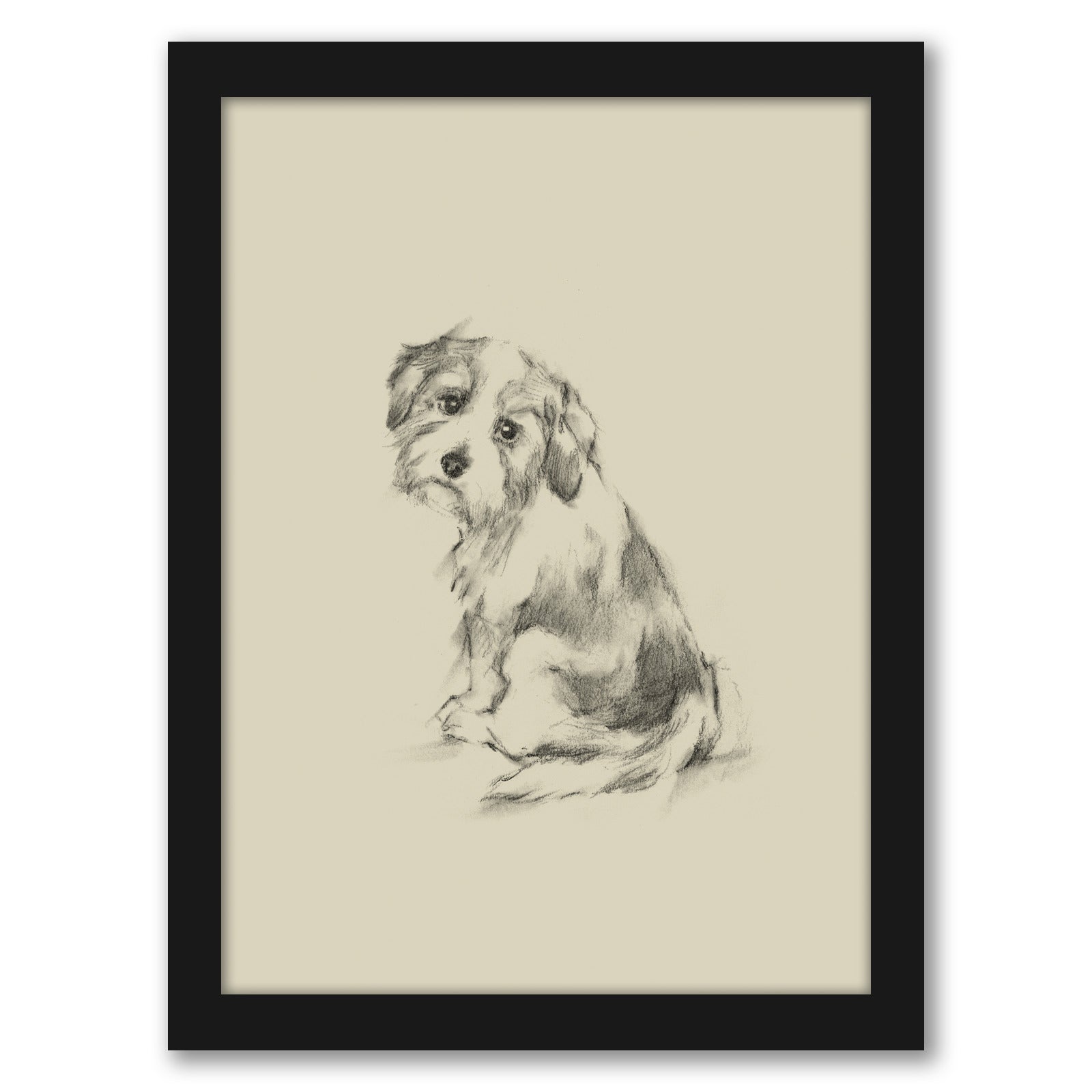 Puppy Dog Eyes III by Ethan Harper by World Art Group - Black Framed Print - Wall Art - Americanflat