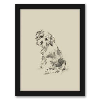 Puppy Dog Eyes III by Ethan Harper by World Art Group - Black Framed Print - Wall Art - Americanflat