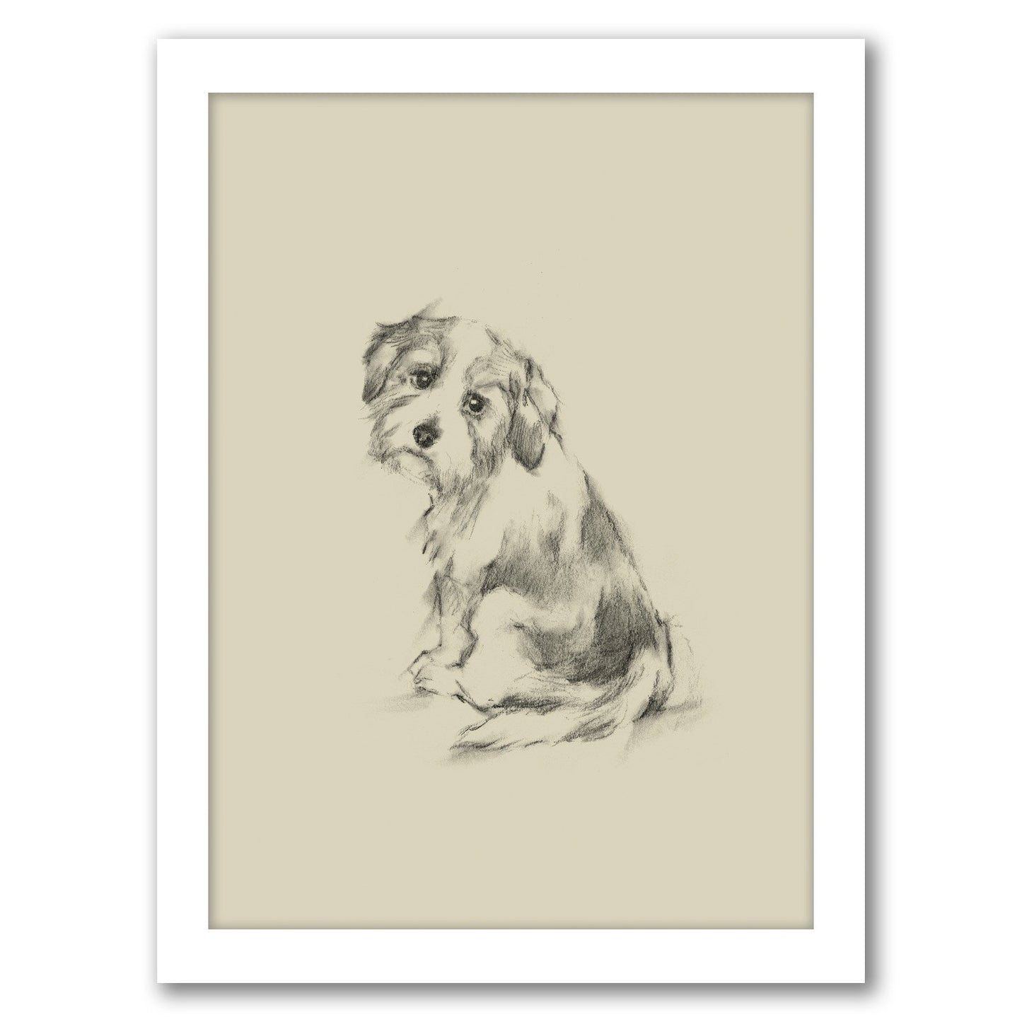 Puppy Dog Eyes III by Ethan Harper by World Art Group - Framed Print - Americanflat