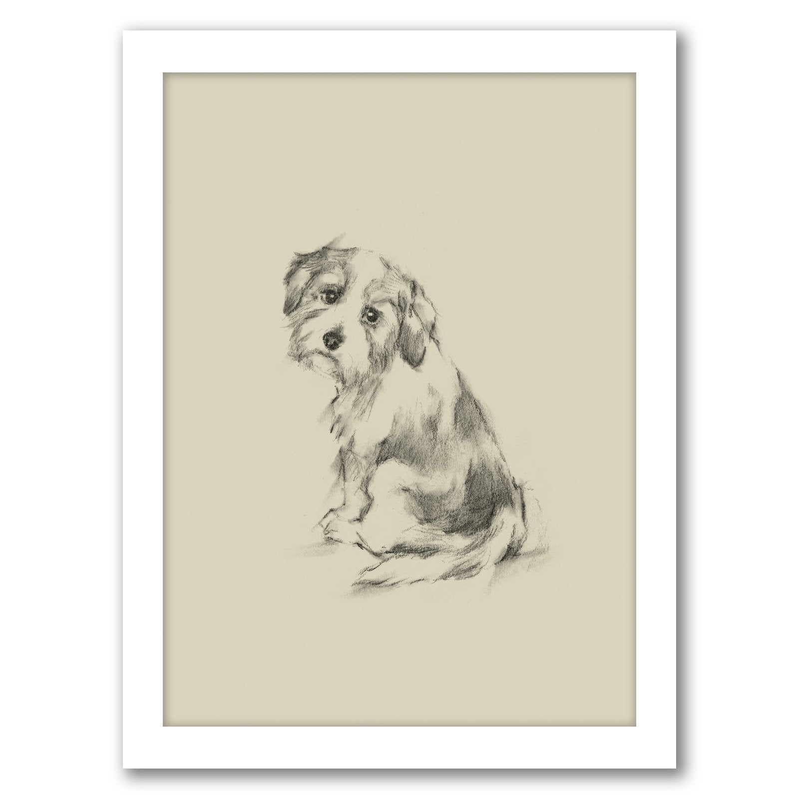 Puppy Dog Eyes III by Ethan Harper by World Art Group - Framed Print - Americanflat