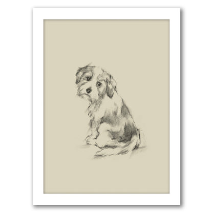 Puppy Dog Eyes III by Ethan Harper by World Art Group - Framed Print - Americanflat
