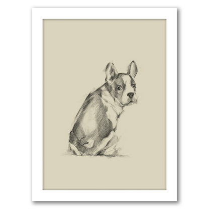 Puppy Dog Eyes IV by Ethan Harper by World Art Group - White Framed Print - Wall Art - Americanflat